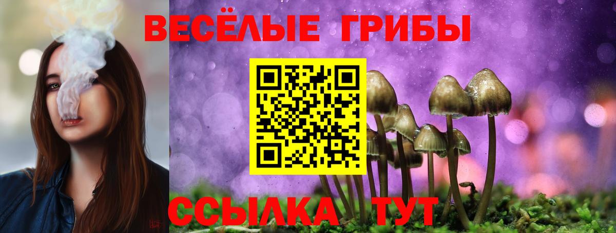 Камышин  Псилоцибиновые грибы прущие грибы  Вход с VPN 