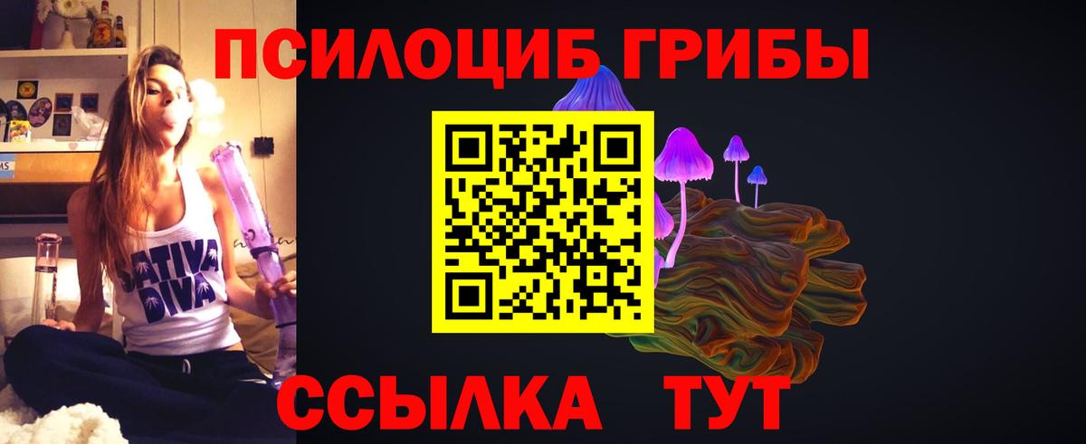 Галлюциногенные грибы GOLDEN TEACHER Камышин