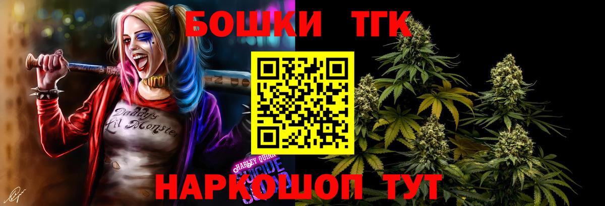Камышин  Конопля сатива  Каннабис план  Каннабис Ganja  Вход с VPN 