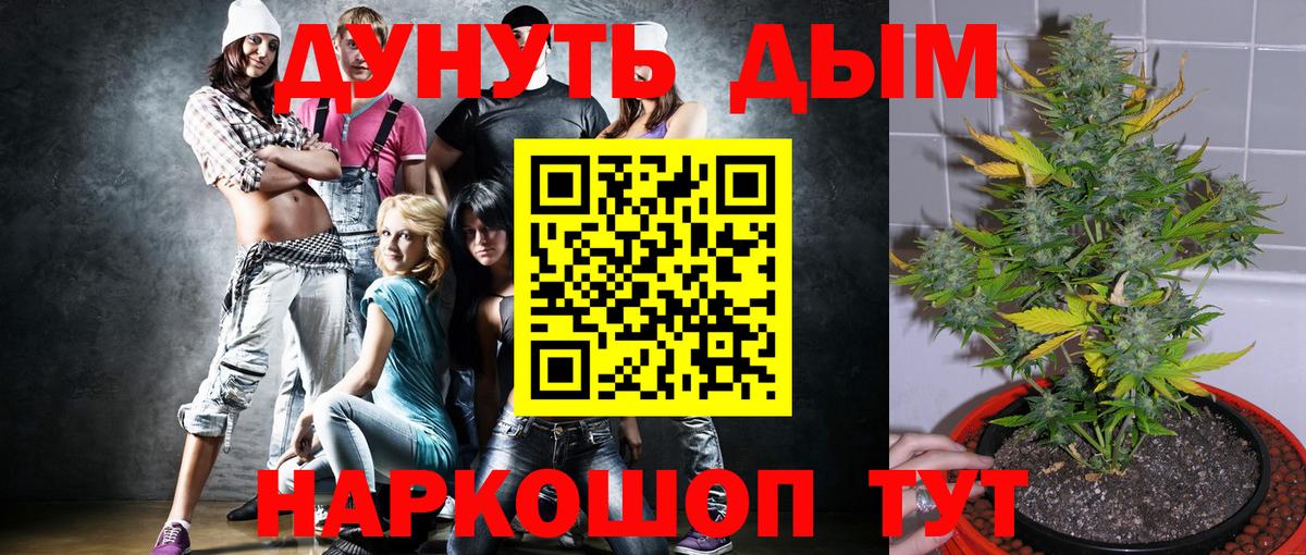 Конопля OG Kush Камышин